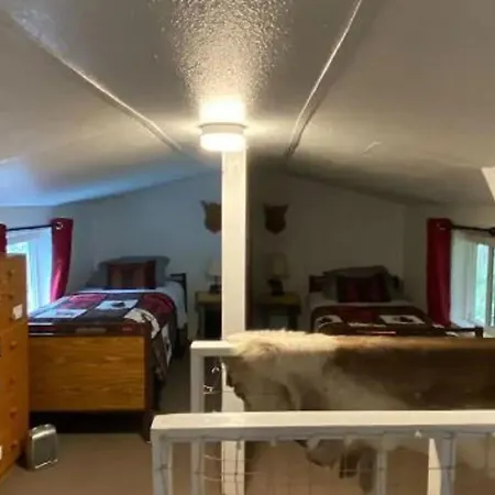 Nauti Otter Inn And Yurt Village Seward Chambre photo